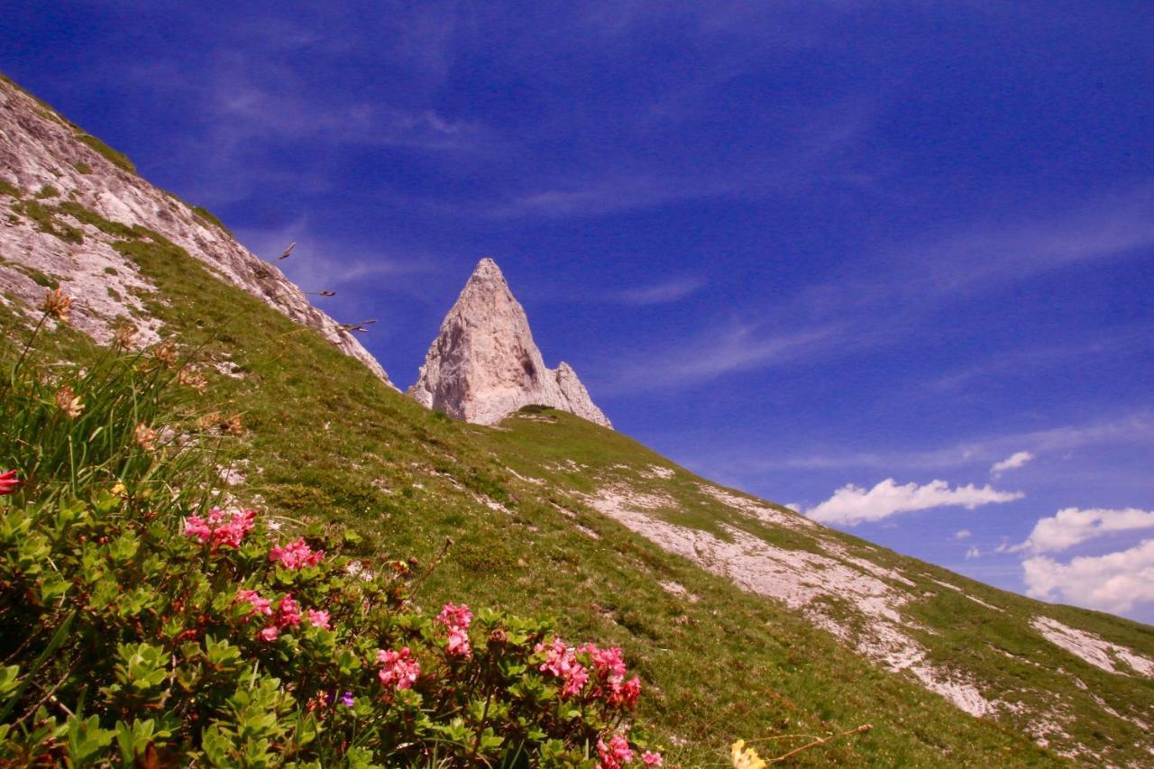 Schermerhuetten Chalet *