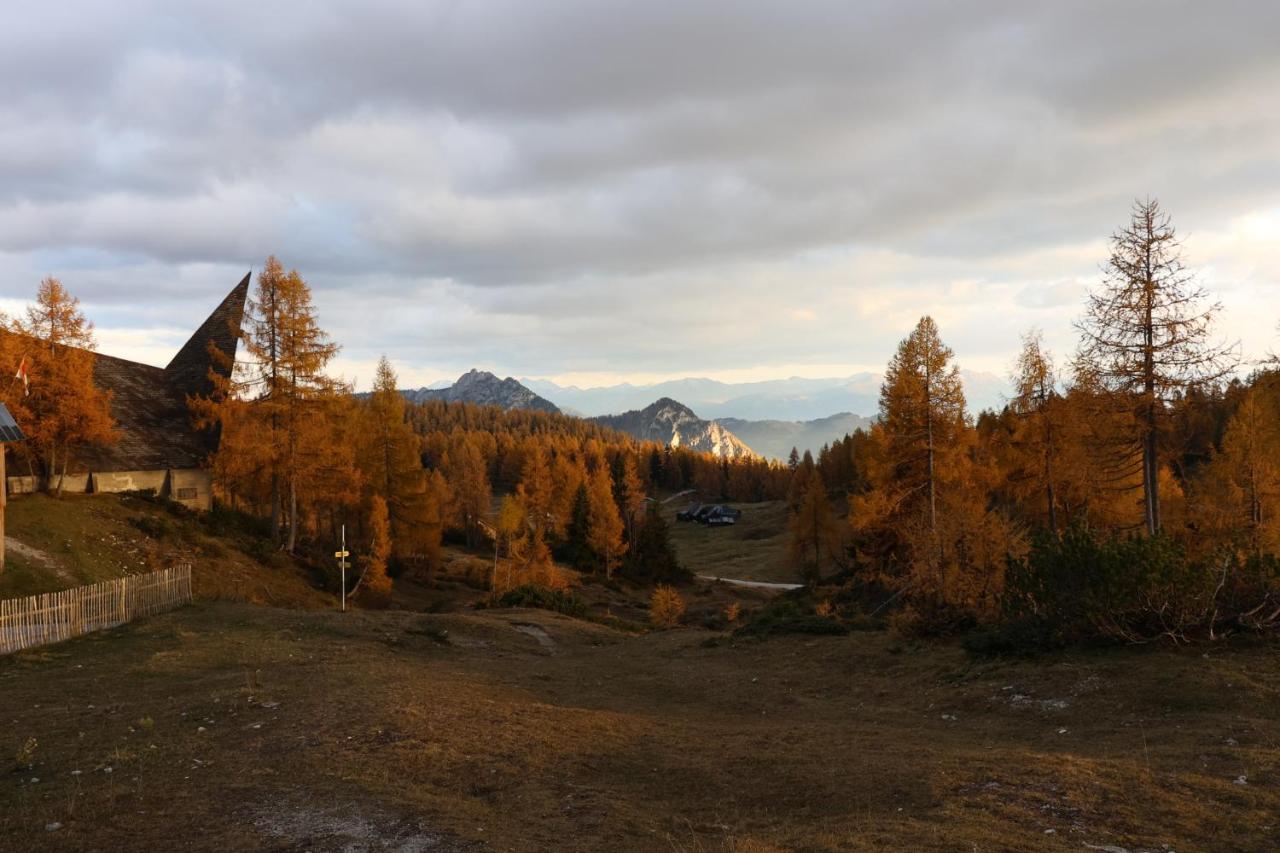 Schermerhuetten Chalet *